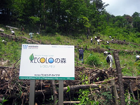 「RECOLOの森」植林活動