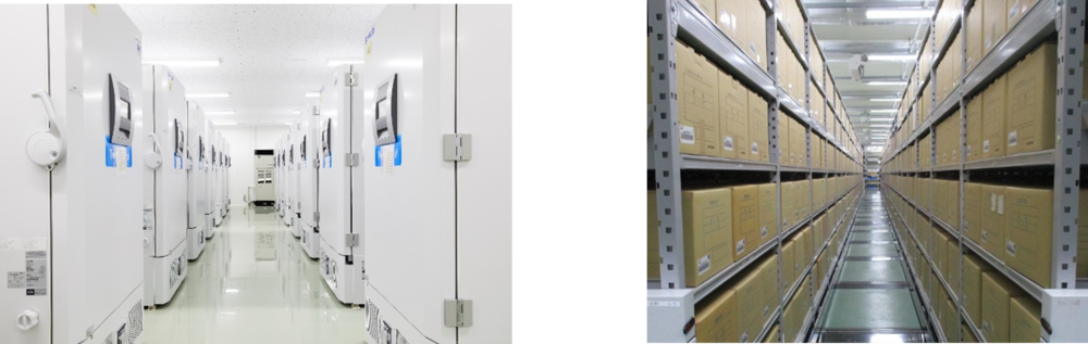 20260413_info_03.pngのサムネイル画像