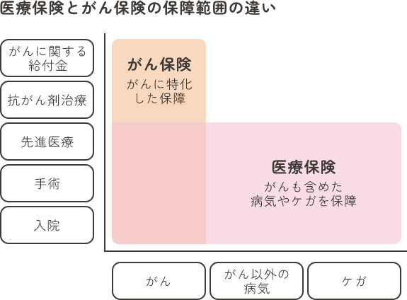 医療保険とがん保険の保障範囲の違い